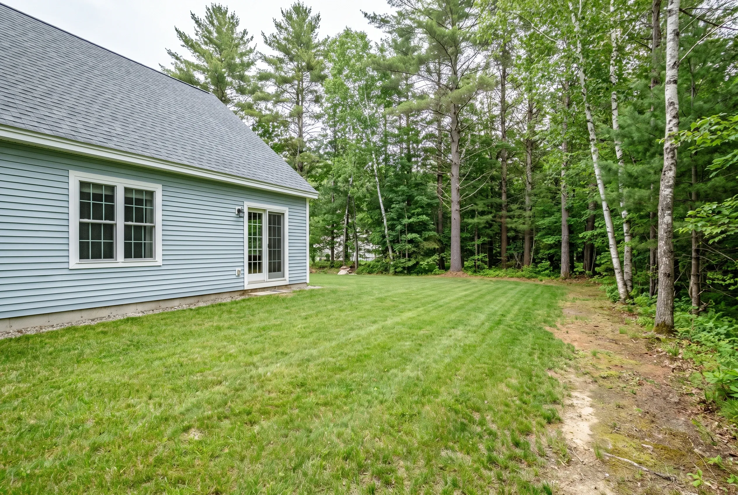 Backyard of a light blue house with a mowed lawn, no deck, a worn dirt path, and surrounding pine and birch trees