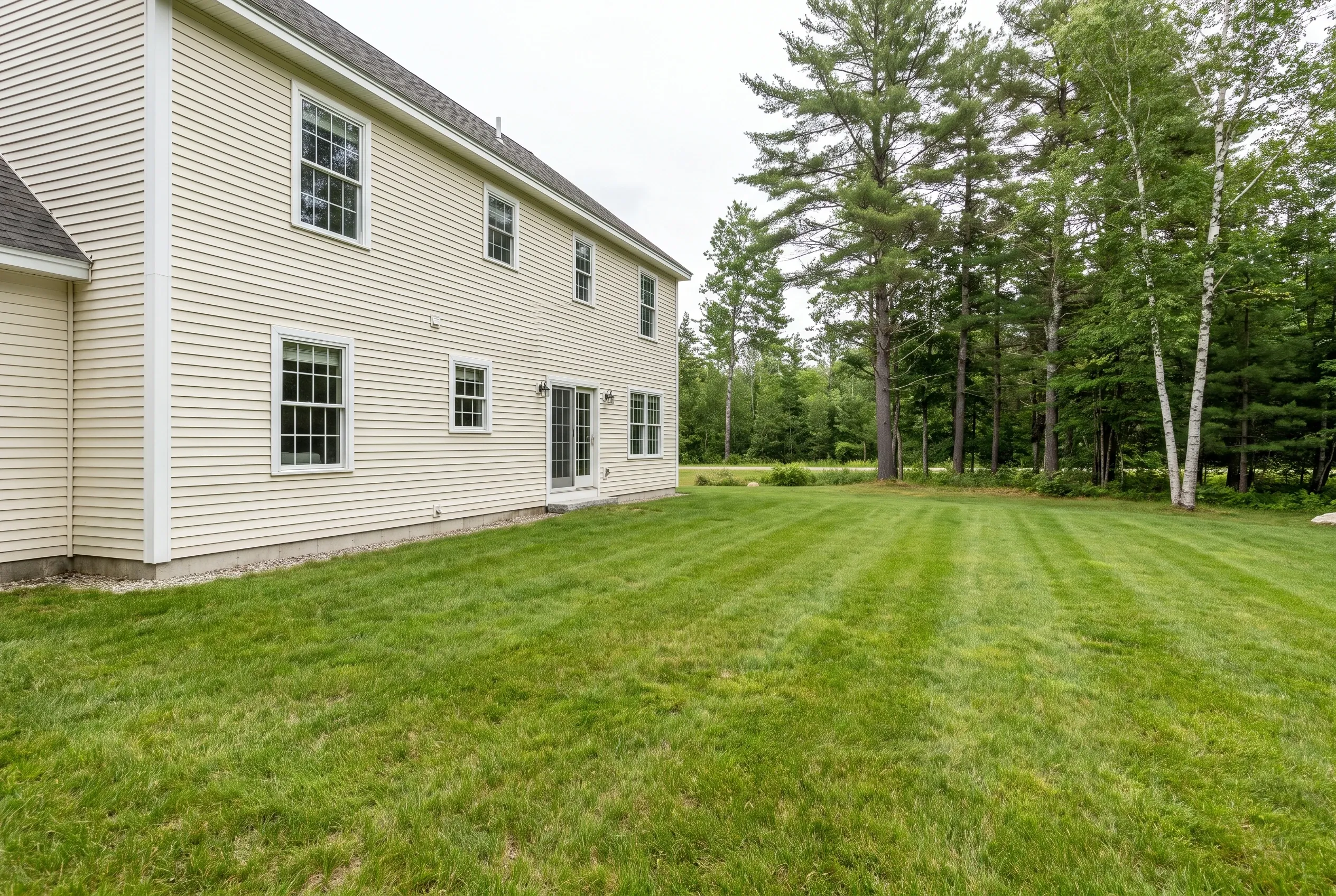 Open mowed lawn beside a cream-sided two-story house with a rear door, bordered by pine and birch trees, no deck present