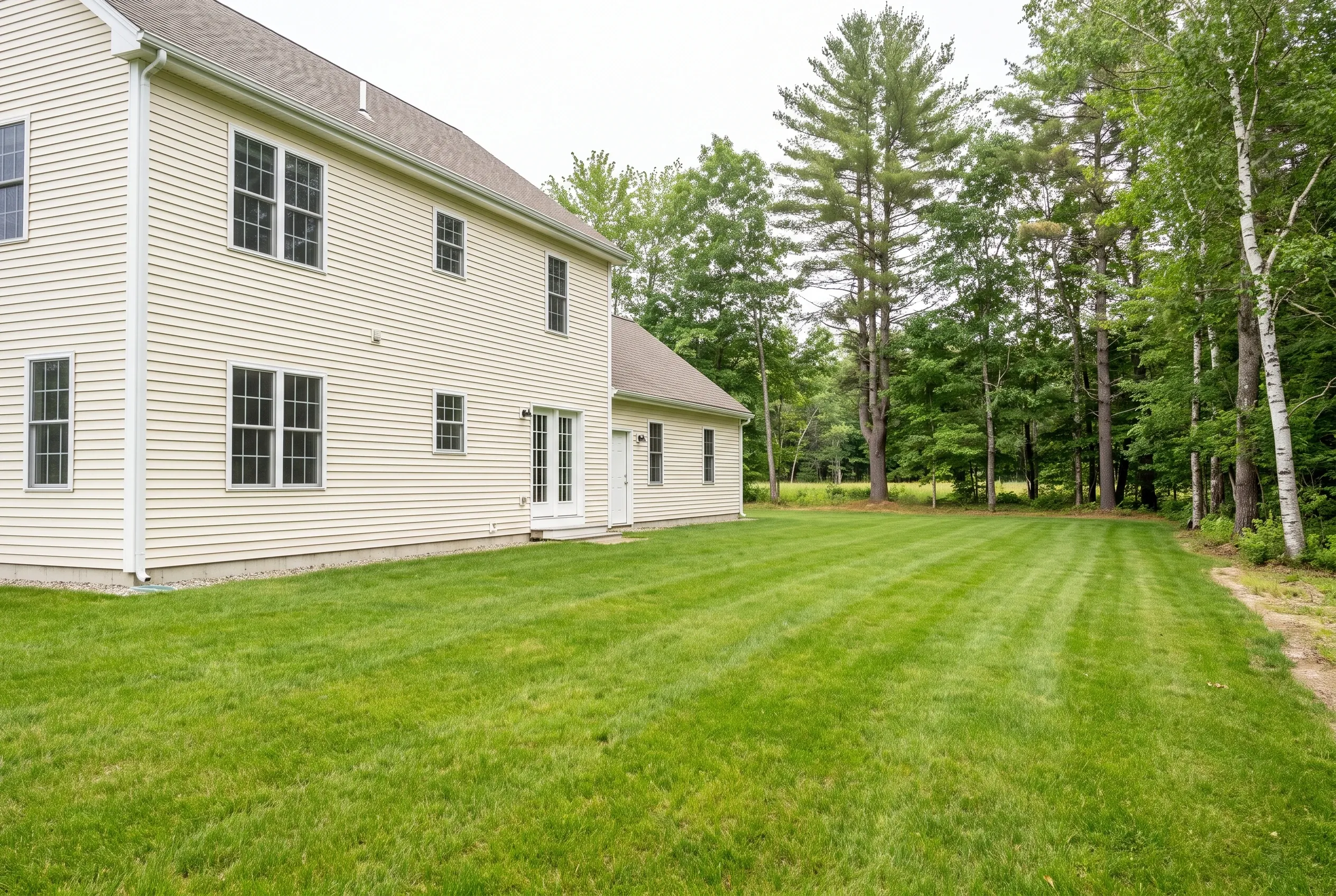 Open mowed backyard lawn with no deck beside a cream two-story house, bordered by pine and birch trees